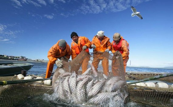 Власти Сургутского района спасут рыбзавод Сытомино