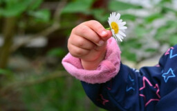 Власти Югры усилят институт опеки и попечительства