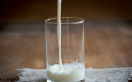В Югре зафиксирован рост производства молочной продукции