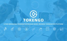 Особенности блокчейн проектов на примере TokenGO