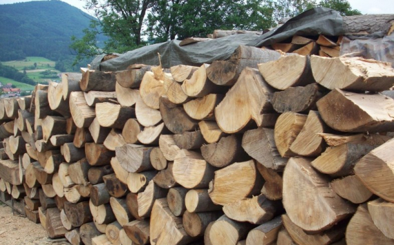 В Югре в модернизацию лесопильного завода вложили 100 млн рублей