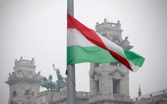 Товарооборот между Югрой и Венгрией вырос в 40 раз