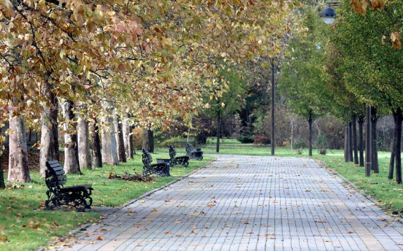 В Сургутском районе новые парки обустроят за 170 млн рублей