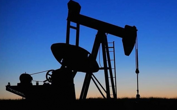 Комарова предложила меры по поддержке нефтегазовой отрасли Югры