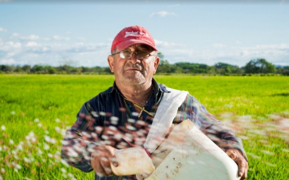 В Югре для предпринимателей проведут конкурс «Сити-фермер»