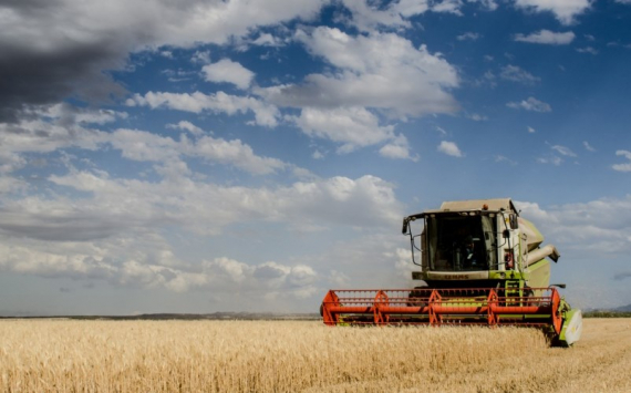 В Югре на поддержку аграриев ежегодно направляют 1,5 млрд рублей