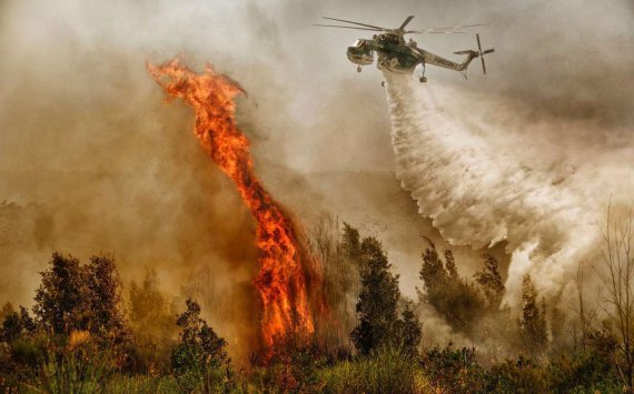 В ХМАО на тушение лесных пожаров выделят дополнительно 56,3 млн рублей‍