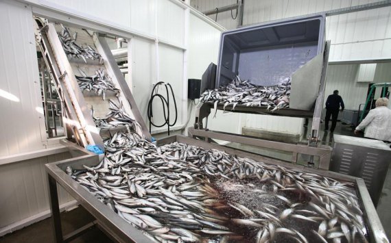 В Октябрьском районе Югры построят цех глубокой переработки рыбы за 67 млн рублей