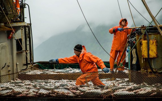 В Югре рассказали о резервах наращивания добычи рыбы в регионе