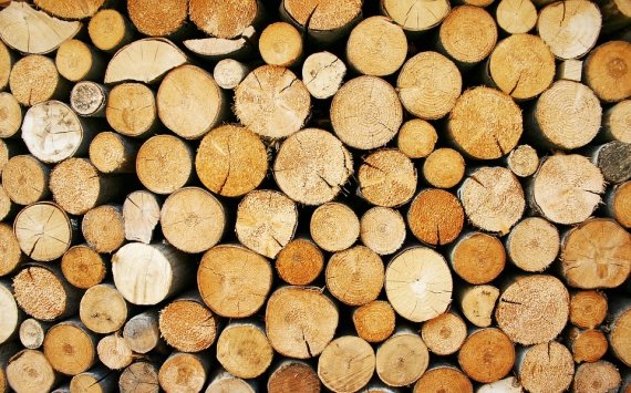 В Югре на развитие лесопромышленной отрасли направят 5,6 млрд рублей
